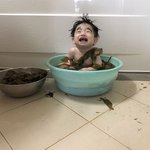 [댓글부탁해] 중학생 <b>봉사</b>시간