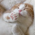 늦었다<b>자자</b>옹