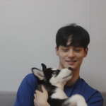 봇<b>노</b><b>잼</b> 큐엔에이