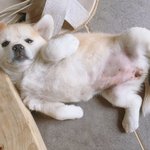 담임선생님한테 왕따 당하고 있는 것같아