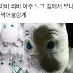[드루와] 친구들이랑 에버가기로 했는데;