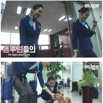 [<b>명랑</b>엽떡] 이 새끼 개 아닐지도 몰라
