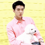 [EXO] 애들 다같이 <b>반려</b>견/<b>반려묘</b> 방송도 보고싶다