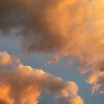 [19] <b>파도풀</b>에서 누가 엉덩이 움켜쥐었어