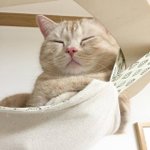 [댓글부탁해] <b>남소</b>받았는데