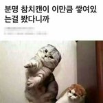 [댓글부탁해] 이거 카톡상메하면 ㅇㄸ