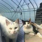 [댓글부탁해] <b>박찬</b>하 라는 이름 ㅇㄸ