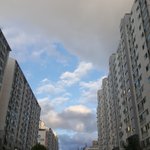 [추반] 화요일에 <b>혼영</b> 도전해야지