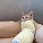 나 너무 <b>현타</b>와ㅋㅋ..