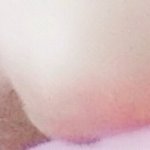 ㅇㄴ이거 엉덩이인줄