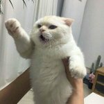 [드루와] 다이어트 <b>전후</b> 자극짤 있는 판녀