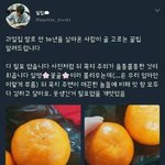[댓글부탁해] 가을웜톤 립추천좀