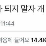 적당히 유분기 있는 애들 너무 부럽다