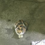 <b>자해</b>하는 꿈 뭐야? <b>자해</b> 사진 없어
