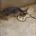 [EXO] 오늘 <b>스펙</b>트뤔에 수만리 오셧다는데 보면 꼭 코디이야기해라