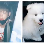 [강다니엘] 강다니엘 <b>갑분</b>멈