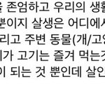 살인 관한건데