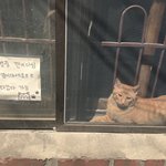 나 어제 틴트 샀거든?