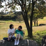 [조언부탁] 고딩인데 봉사시간빨리채우는 <b>꿀팁</b>좀