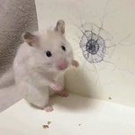 나 전학와서 <b>병약</b>컨셉잡고다녔더니 인싸됨ㅋㅋㅋ