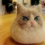 [마고살음] 서치<b>범인</b>:로즈메리아들
