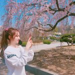 [댓글부탁해] 축구 잘 아는애들 들어와봐