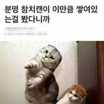 [댓글부탁해] 코디 추반해주면 잘생긴 썸남생김
