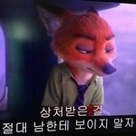 [조언부탁해] 오늘 에이틴 보면서 너무 많이 울었어 ...