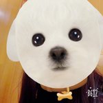 <b>홍염</b>살 ㄹㅇ인듯 개신기해