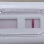 [19] 확실히 <b>한</b><b>줄</b>맞지?