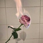 [ㅈㄱㄴ] 남자애가 자꾸 연락하는데 왜이러는<b>거여</b>