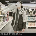 옷 추반좀