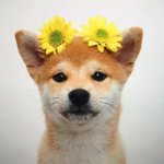 아 <b>싯발</b> 엄마 다이어트약 몰래 먹어ㅛ는데