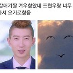 [드루와] ㅋㅋㅋㅋㅋㅋㅋ얘들아 이거봐ㅋㅋㅋㅋㅋㅋ조카<b>닮음</b>