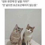 <b>쌤</b>한테 <b>말</b>하고 낼 아침에 병원 다녀올까?
