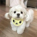 후집 예쁜거 추천좀<b>해쥬</b>링!!