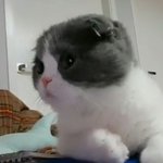 [댓글부탁해] 나만 이병재 노래 듣고 <b>자해</b>했냐