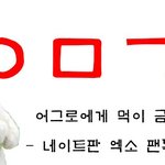 [EXO] 공지 정화 ㄱㄱ