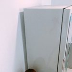 [댓글부탁해] 나만 급식 뺏어먹는 애들 싫냐 ㅠㅠ