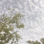 [드루와] 너네 학교에 <b>술담배</b> 하는 애들 많아?