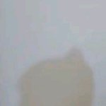 [방탄소년단] 머글인데요ㅠㅠ 이분 누군지 알수잇을까여