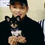 [강다니엘] 멈무×댕댕=귀여움수치 <b>max</b>