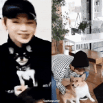 [강다니엘] 악ㅋㅋㅋㅋㅋㅋㅋㅋㅋ