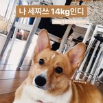 [강다니엘] <b>씽크</b>네이처 인별스토리