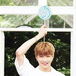 [강다니엘] <b>씽크</b>네이처 강다니엘 포시즌북 스캔본