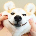 고3들아 <b>전형</b>료 얼마 나왔니