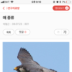 ㅆㅂ우리집에 매 들어옴