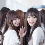 [드루와] 얘네 너무 귀엽지 않냐