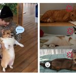 [강다니엘] 루피오 삐졌어