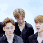 [EXO] 이거 ㄹㄹ<b>인간고양이</b>로 보인다 (시우민